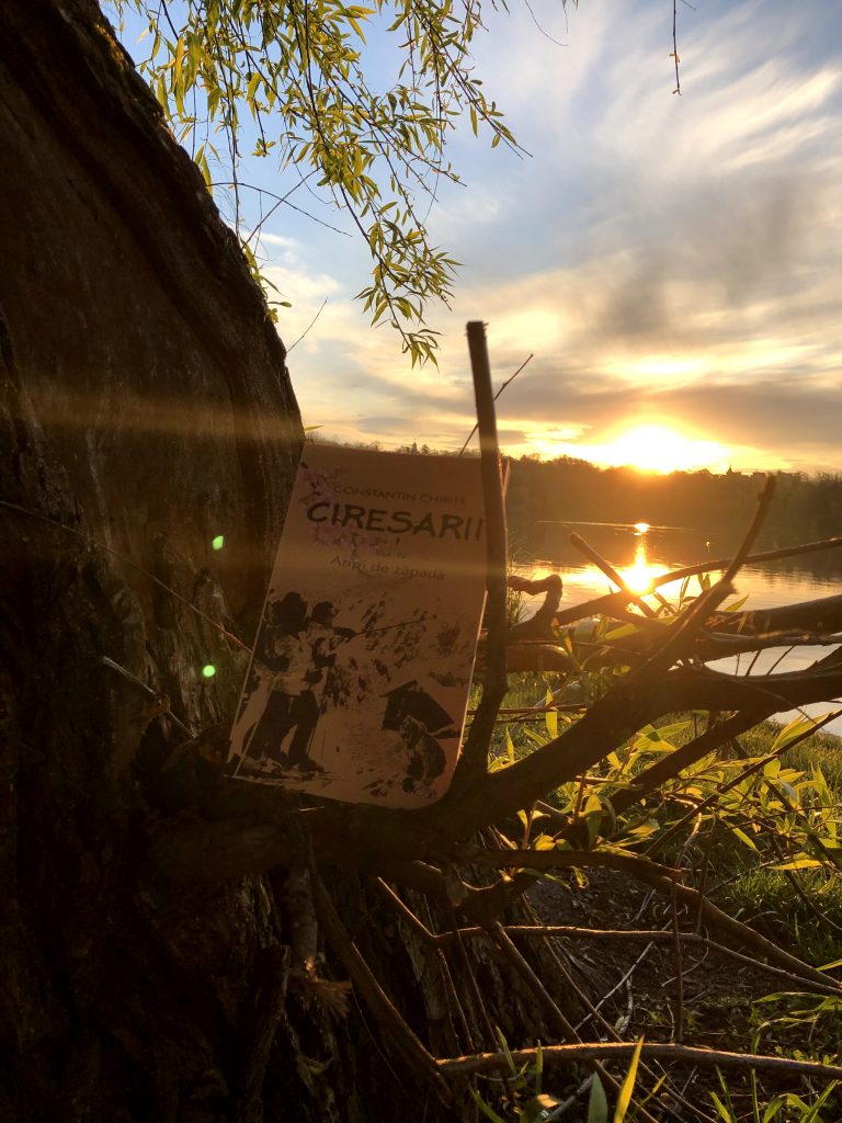 Cireșarii. Aripi de zăpadă